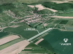 Prodej pole, Prakšice, 7944 m2