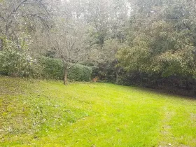 Prodej zahrady, Libina, 239 m2