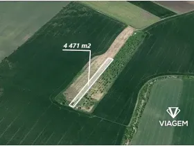 Prodej podílu pole, Sokolnice, 2980 m2