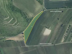 Prodej pole, Dolní Dunajovice, 9912 m2