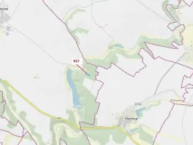 Dražba lesa, Mladoňovice, 2344 m2