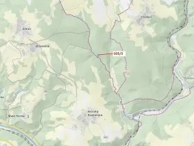 Dražba lesa, Jílové u Držkova, 2349 m2