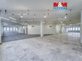 Pronájem obchodního prostoru, Plzeň - Severní Předměstí, alej Svobody, 641 m2