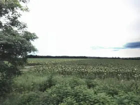 Prodej pole, Vranovice, 8591 m2