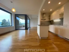 Pronájem bytu 3+kk, Brno, Preslova, 104 m2