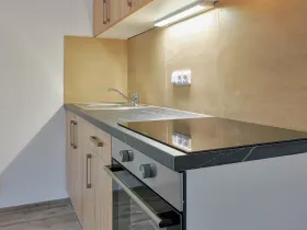 Pronájem bytu 1+kk, Plzeň, Rejskova, 50 m2