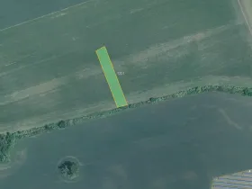 Prodej pole, Žeraviny, 3981 m2