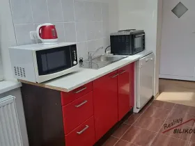 Pronájem bytu 1+1, Mochov, Havlíčkova, 28 m2