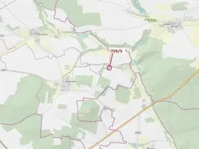 Dražba lesa, Osek, 301 m2