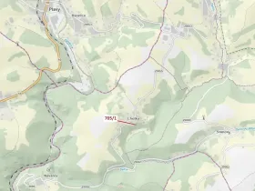 Dražba louky, Zlatá Olešnice, 438 m2