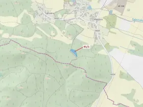 Dražba lesa, Pačejov, 3251 m2