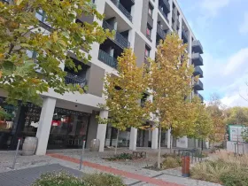 Pronájem kanceláře, Praha - Žižkov, Olgy Havlové, 71 m2