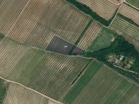 Prodej pole, Nový Šaldorf-Sedlešovice, 7256 m2