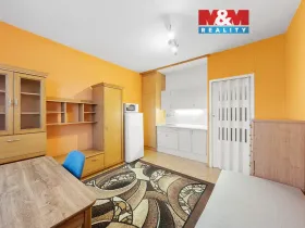 Prodej bytu 1+kk, Děčín - Děčín III-Staré Město, Litoměřická, 19 m2