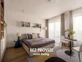 Pronájem bytu 1+kk, Plzeň - Skvrňany, Františka Kováříka, 40 m2