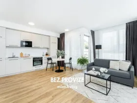 Pronájem bytu 2+kk, Praha - Vysočany, Odkolkova, 52 m2