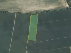 Prodej pole, Litohoř, 6776 m2