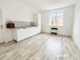 Pronájem bytu 1+kk, Nejdek, Osvětimská, 43 m2