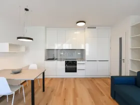 Pronájem bytu 1+kk, Praha - Kamýk, Hodkovická, 30 m2