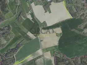 Prodej pole, Ondřejov, 13548 m2