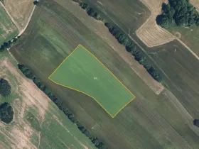 Prodej pole, Zborov, 12329 m2