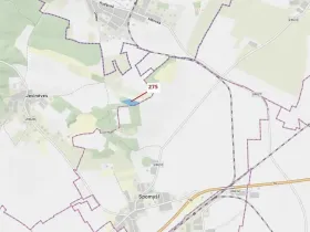 Dražba lesa, Jeviněves, 10319 m2