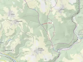 Dražba lesa, Jílové u Držkova, 1684 m2