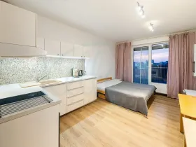 Pronájem bytu 1+kk, Praha - Malešice, Nad úžlabinou, 32 m2