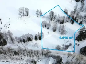 Prodej pozemku pro bydlení, Říčky v Orlických horách, 5940 m2