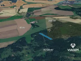 Prodej lesa, Hradiště, 12138 m2