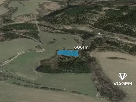 Prodej lesa, Řendějov, 6061 m2