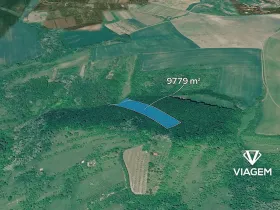 Prodej podílu lesa, Klobouky u Brna, 1086 m2