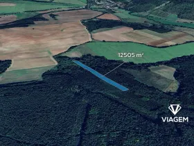 Prodej podílu lesa, Pnětluky, 5210 m2