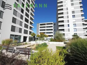 Pronájem bytu 1+kk, Plzeň, Nemocniční, 29 m2