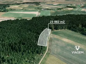 Prodej podílu lesa, Radkovice u Budče, 13197 m2