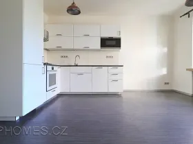 Pronájem bytu 2+1, Praha - Žižkov, Biskupcova, 81 m2