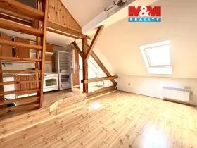 Pronájem bytu 3+kk, Hradec Králové - Pražské Předměstí, Albertova, 60 m2