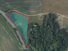 Prodej louky, Žehušice, 3914 m2