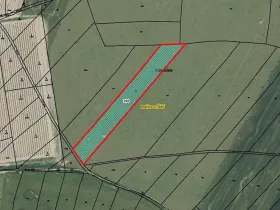 Prodej pozemku, Račice, 6384 m2