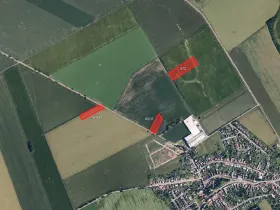Prodej pole, Olšany u Prostějova, 9890 m2