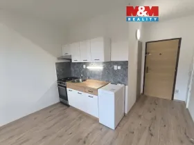 Pronájem bytu 1+1, Ústí nad Labem - Mojžíř, Peškova, 35 m2