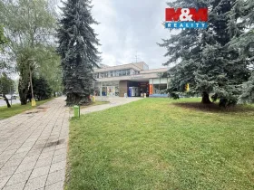 Pronájem obchodního prostoru, Rychnov nad Kněžnou, Havlíčkova, 291 m2