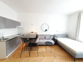 Pronájem bytu 1+kk, Praha - Vinohrady, Mikovcova, 29 m2