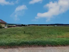 Prodej komerčního pozemku, Olešník, 2747 m2