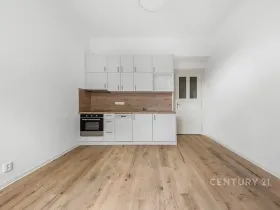 Pronájem bytu 1+kk, Praha - Nusle, Sezimova, 27 m2