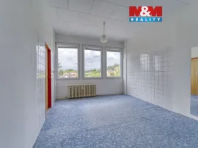 Pronájem obchodního prostoru, Nepomuk, Na Vinici III., 39 m2