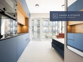 Pronájem bytu 1+kk, Brno, Koliště, 22 m2