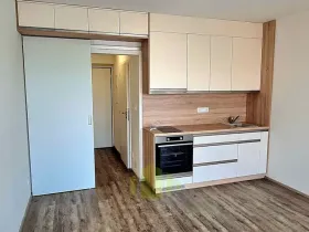 Pronájem bytu 1+kk, Olomouc, Wolkerova, 34 m2