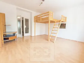 Pronájem bytu 2+1, Praha - Žižkov, Hartigova, 80 m2
