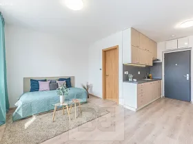 Pronájem bytu 1+kk, Hradec Králové, Pražská třída, 25 m2